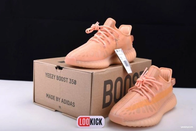 GW2870 Adidas V2 350 Clay